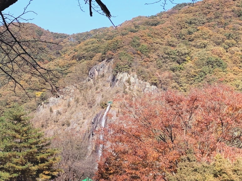 추월산이보이는집 이미지