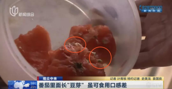 보산기술 이미지