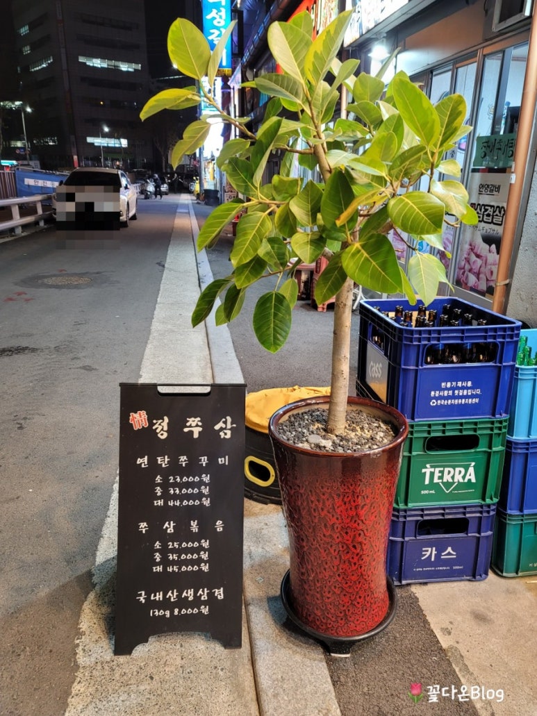 정쭈삼 이미지