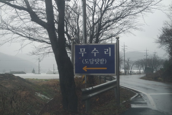 도담민물매운탕 이미지