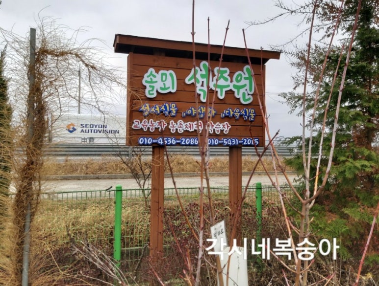 솔뫼석주원 이미지