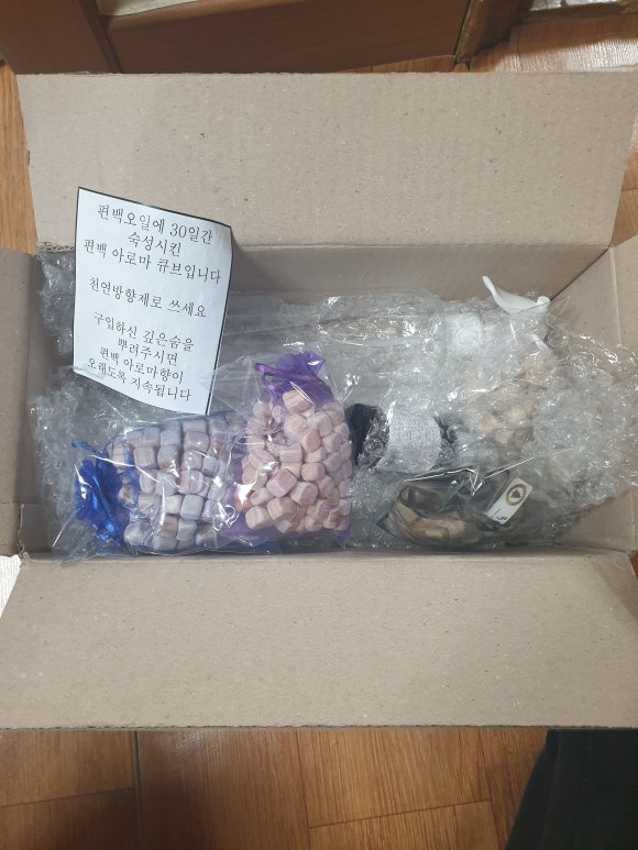 목향편백 이미지