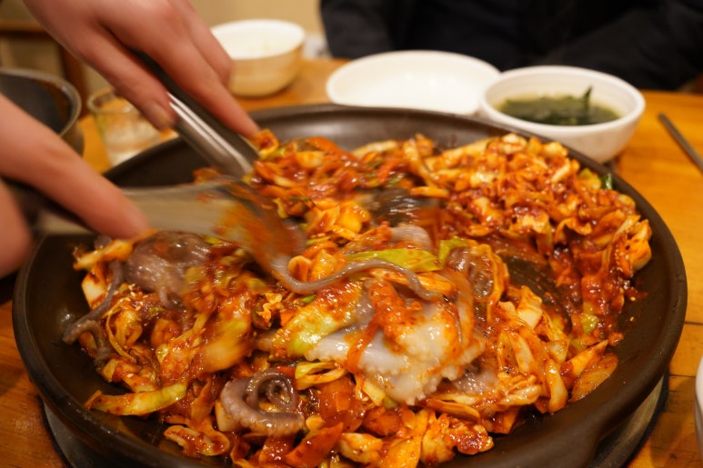 낙지의꿈 이미지