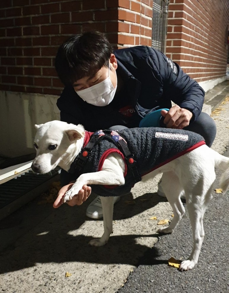 하이고 이미지