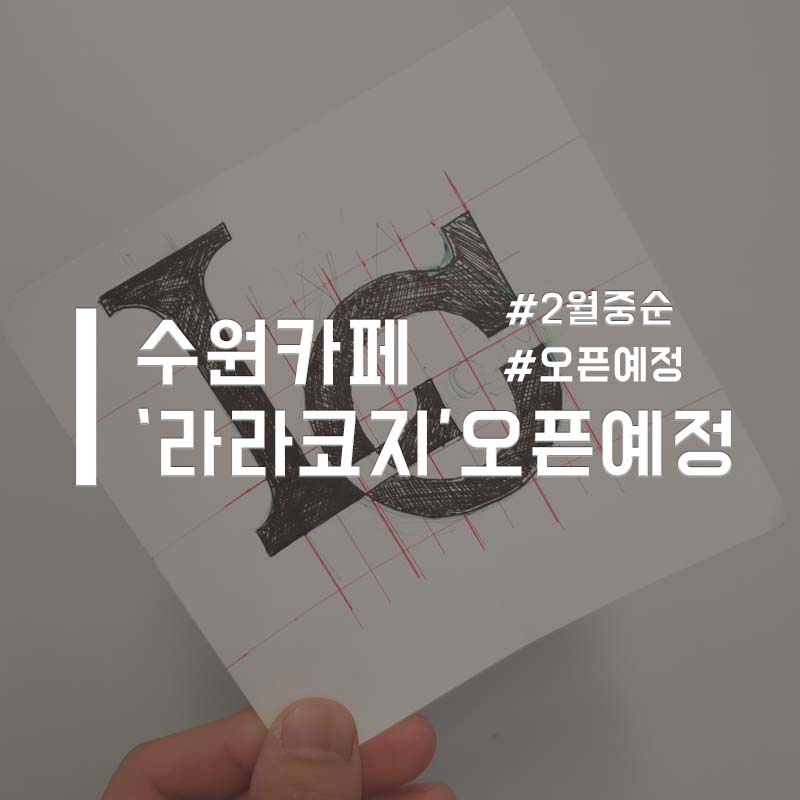 라라코지 이미지