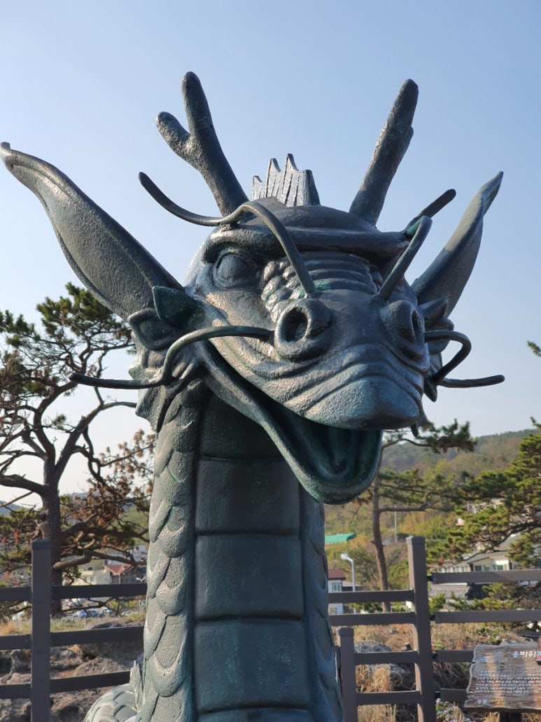 테스노래클럽 이미지
