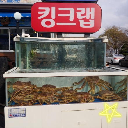 본전회수산 이미지