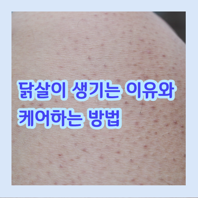 뷰티 엘 이미지