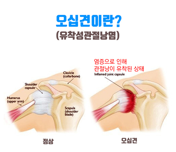 단대오거리정형외과의원 이미지