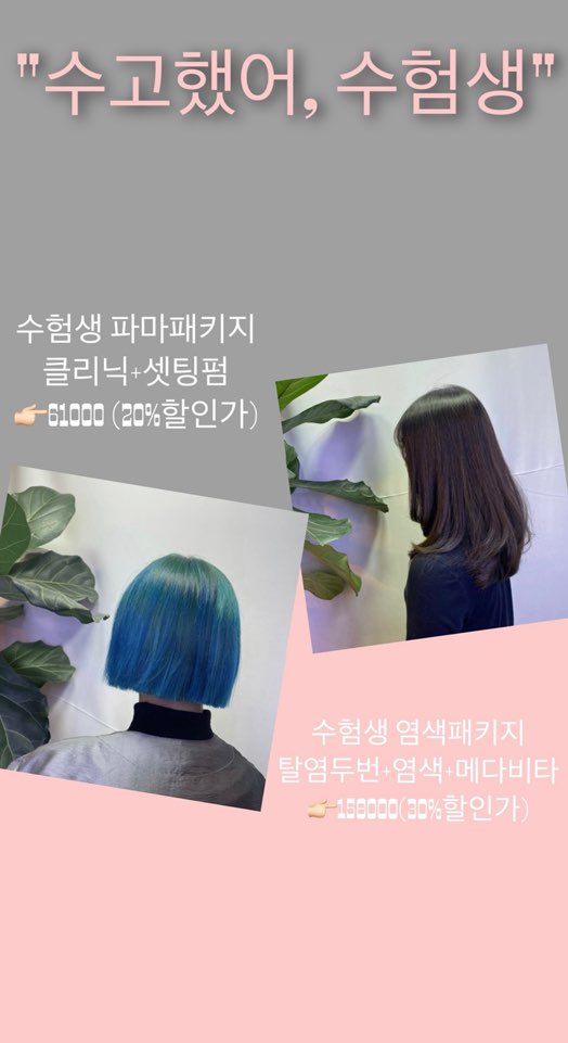 알라모드 이미지
