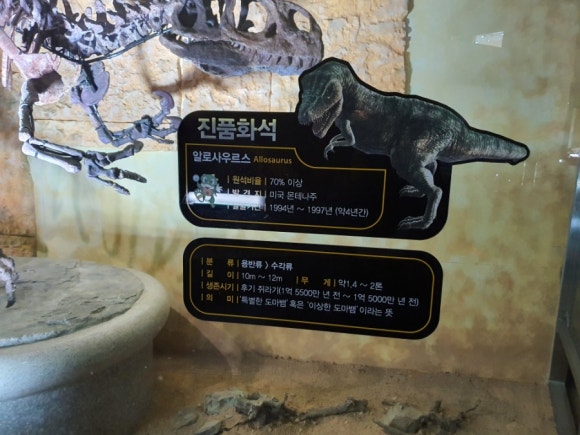 가람컴퍼니 이미지