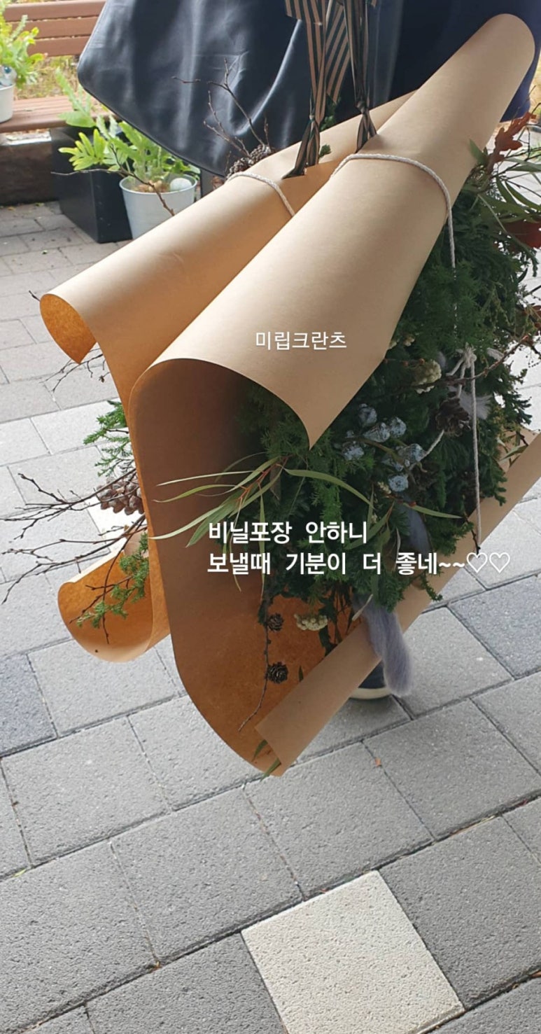 스튜디오미립크란츠 이미지