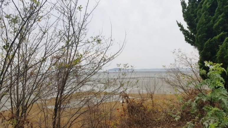 세종도예원 이미지