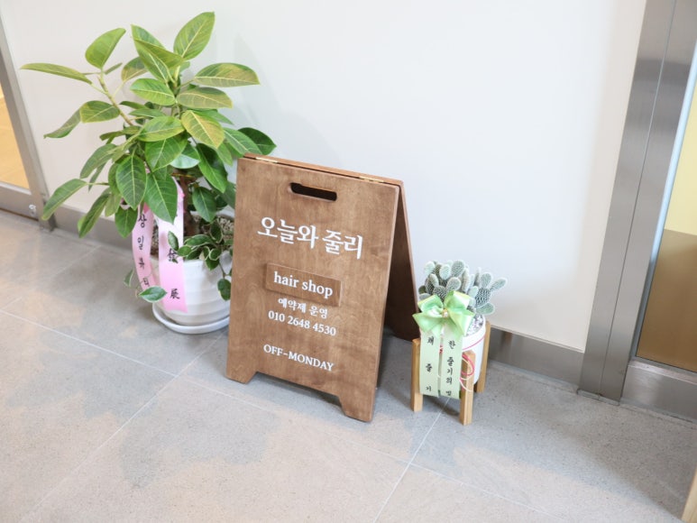 오늘와줄리 이미지