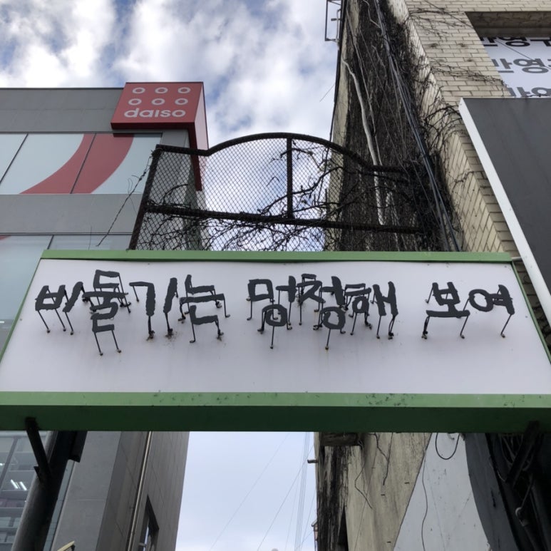 비둘기는멍청해보여 이미지
