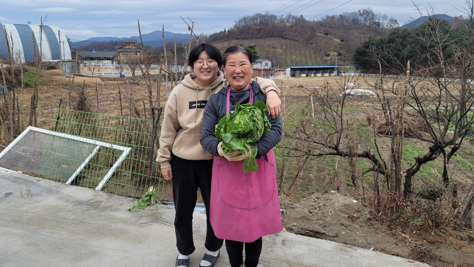 별빛담은마을 이미지