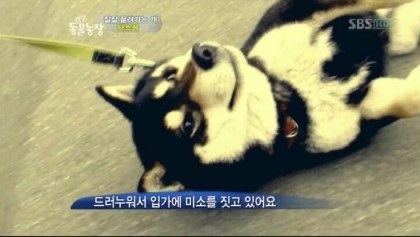 복 이미지