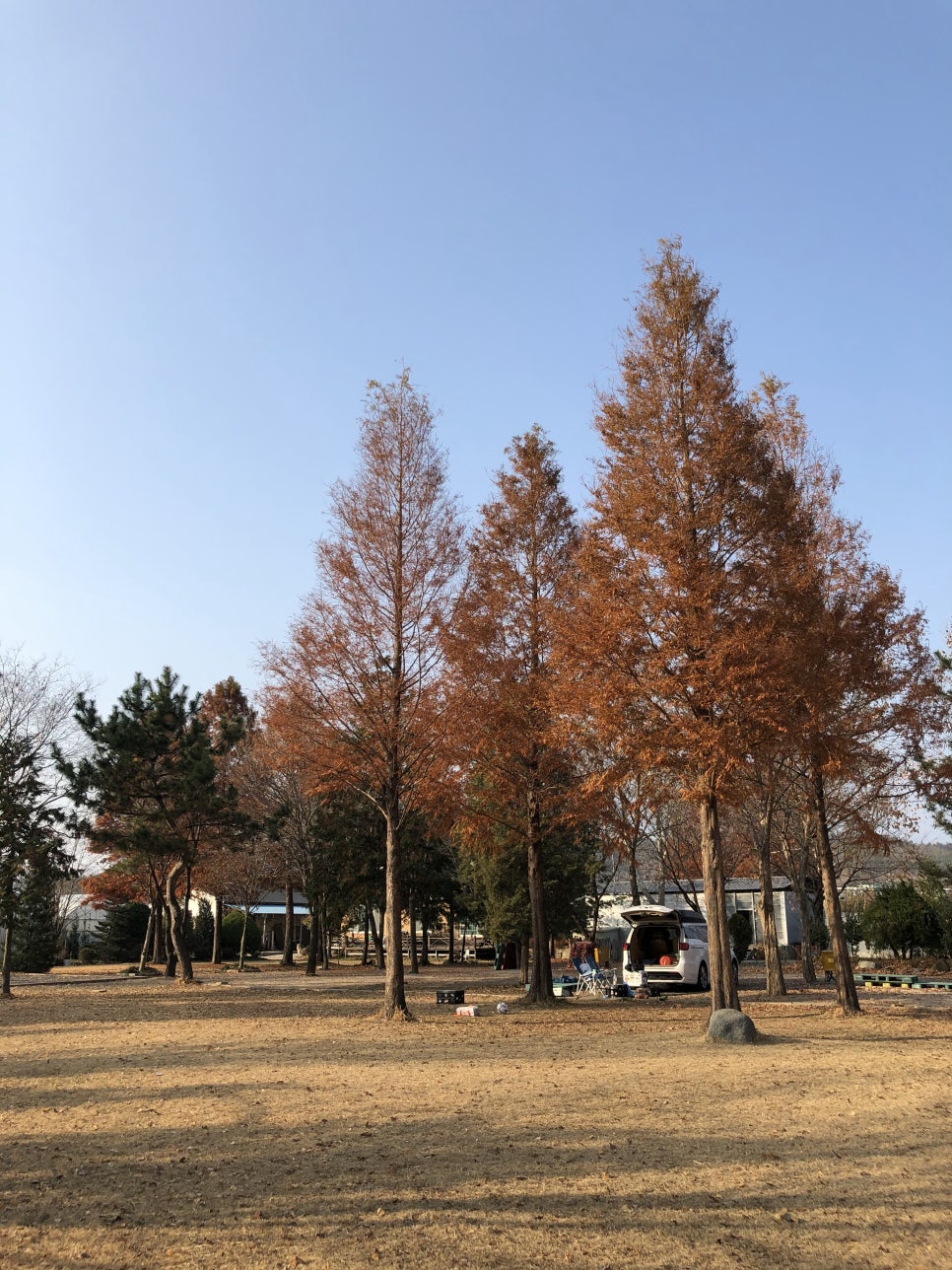 고경농협주유소 이미지