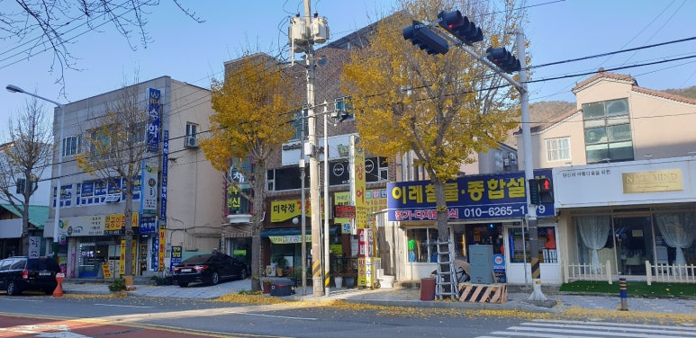 미락정장어 이미지
