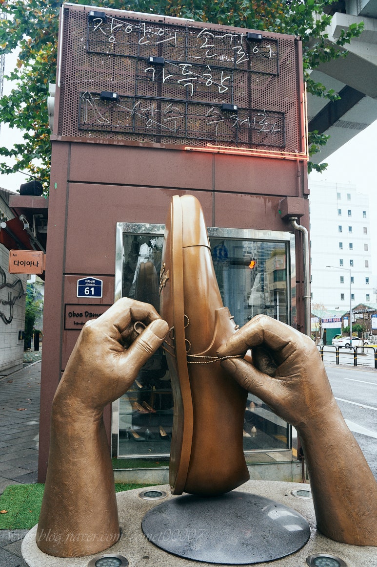 송정나무병원 이미지