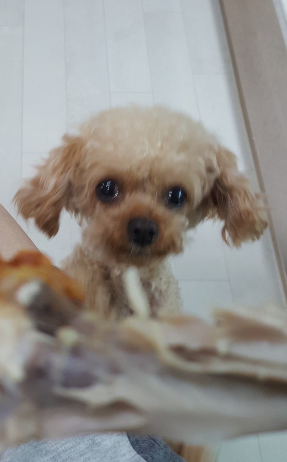 푸라닭경산사동계양점 이미지