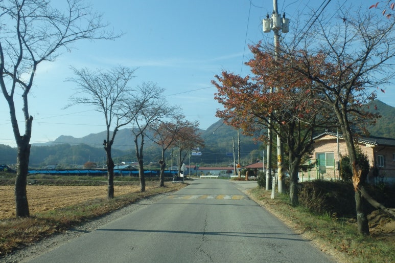 초입새 계곡 이미지