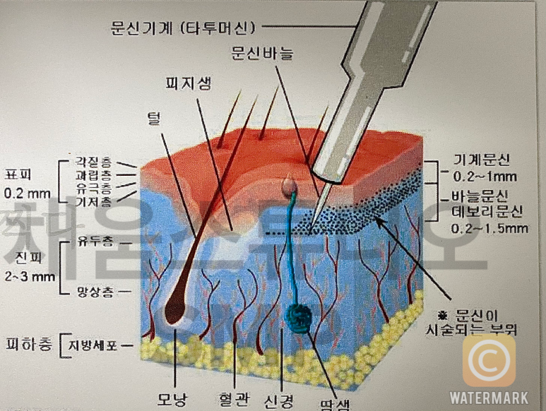 채움스튜디오smp 이미지