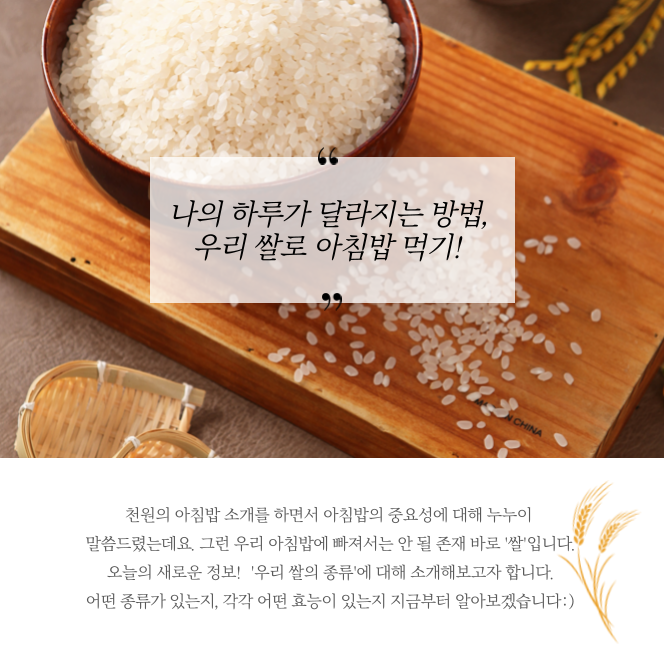 천원나라 이미지