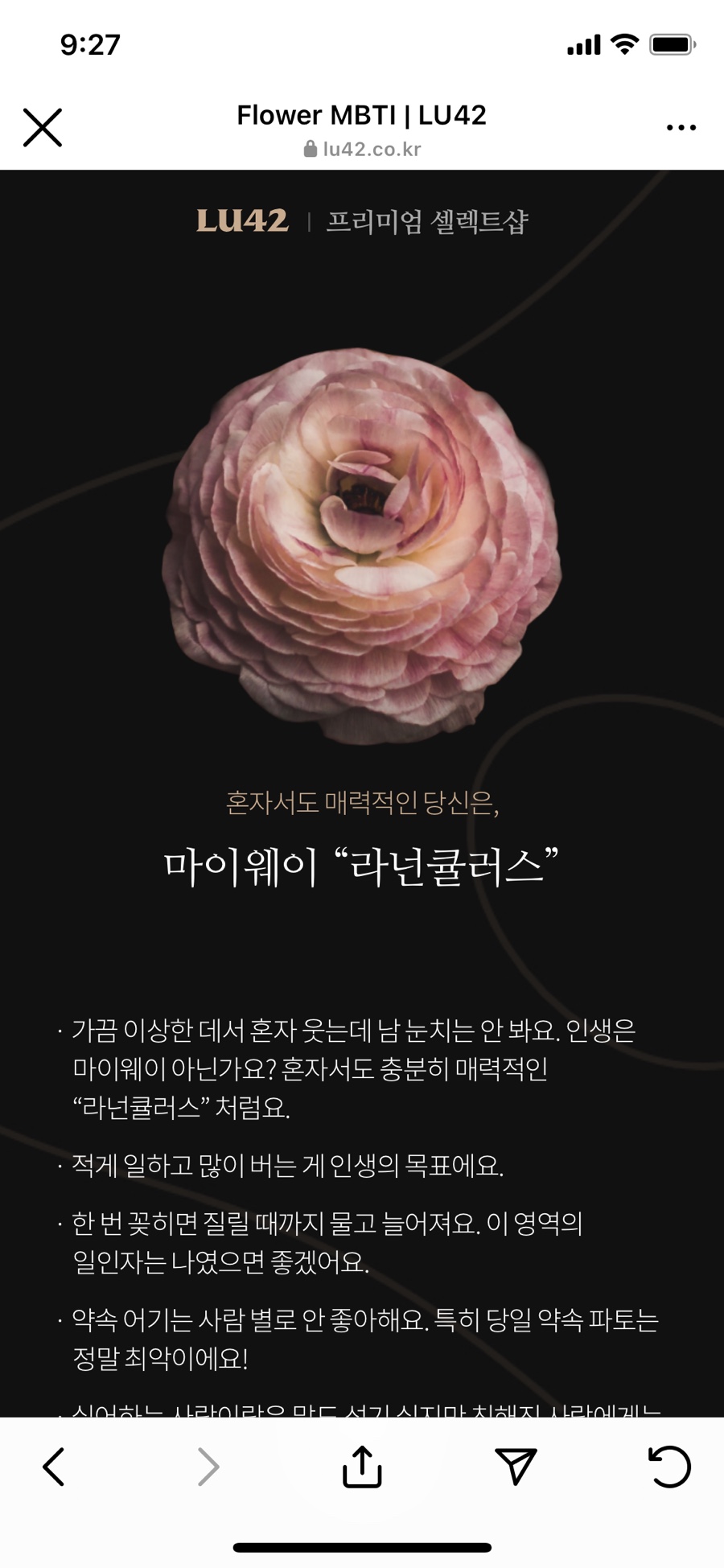 카페노체 이미지