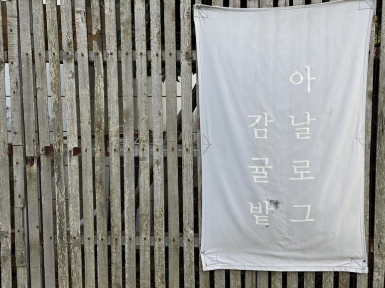아날로그감귤밭 이미지