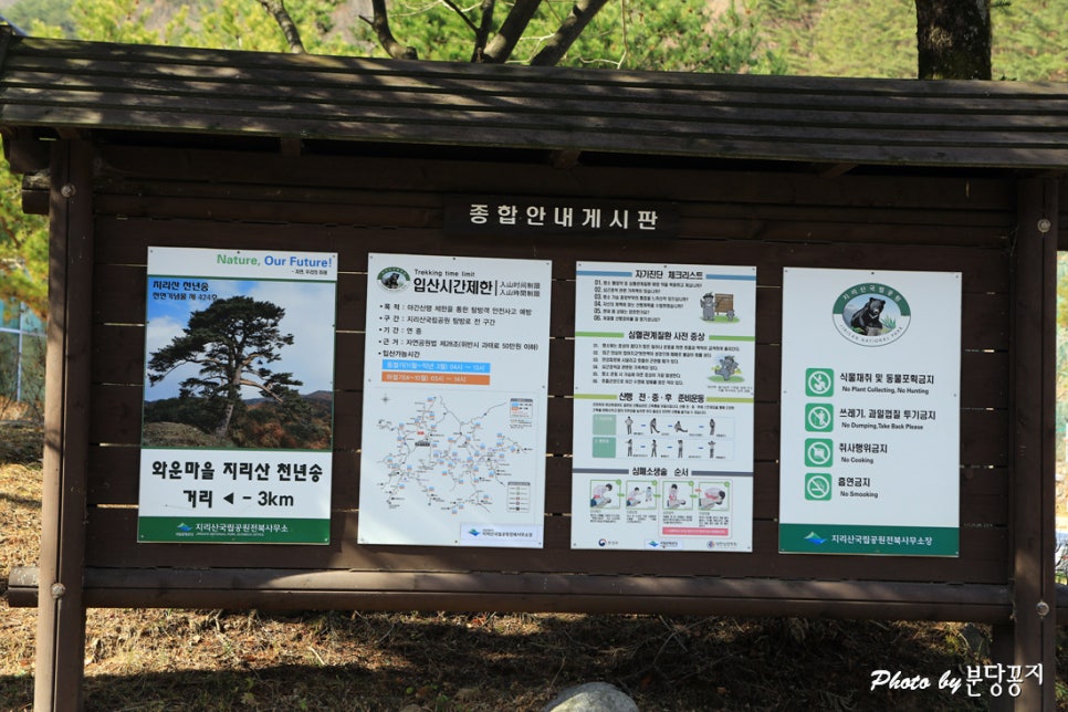 와운가든 이미지