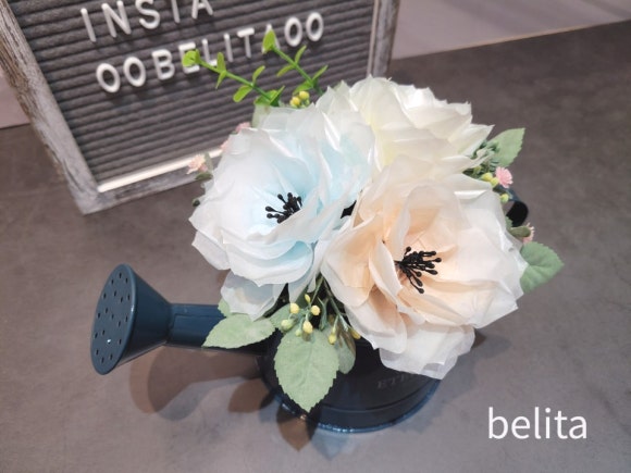 벨리타Belita 이미지