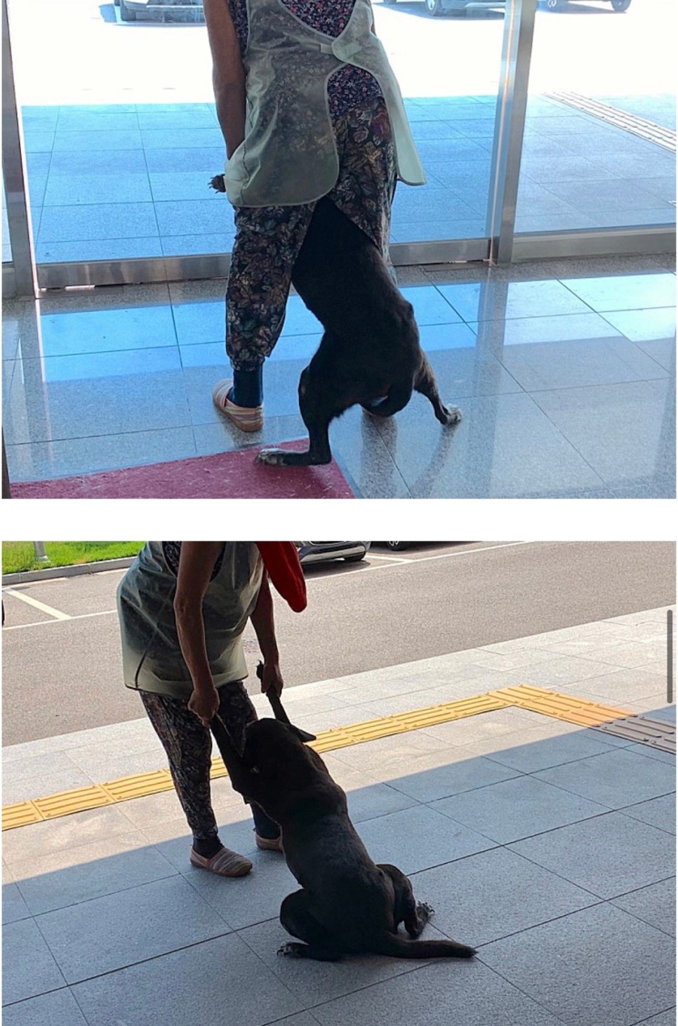 새한주유소 이미지