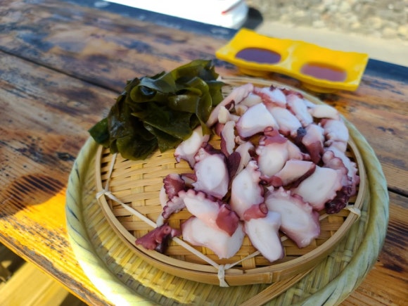 노라바 이미지