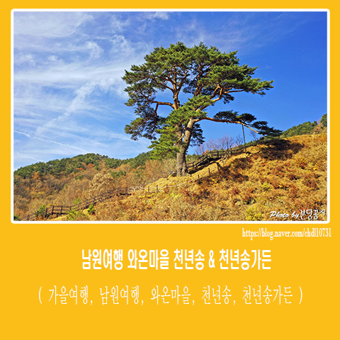 와운가든 이미지