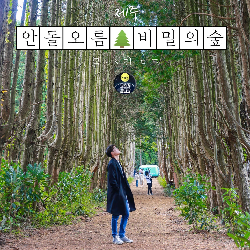 오름미트 이미지