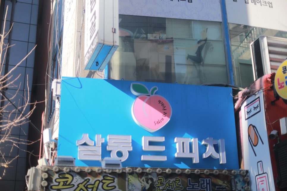 살롱 드 피치 이미지