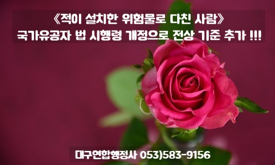 행정사김덕수 이미지