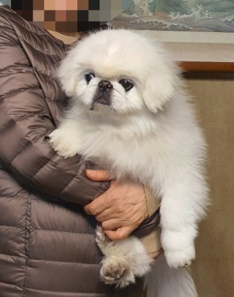 부경횟집 이미지