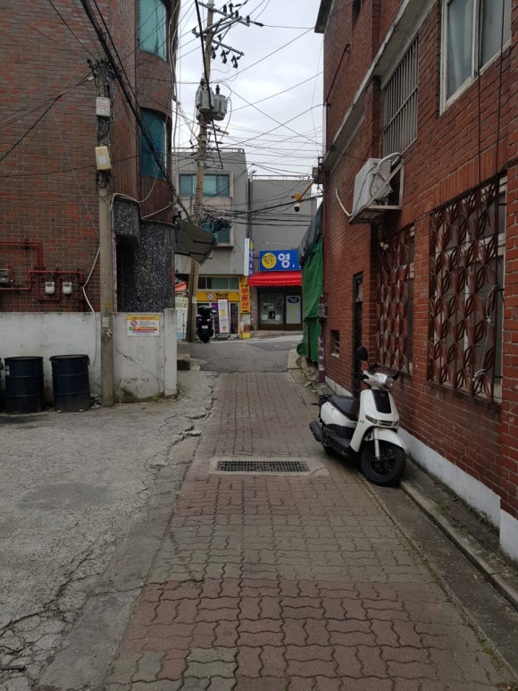 영미용 이미지