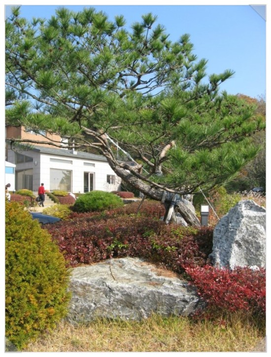 푸른조경 이미지
