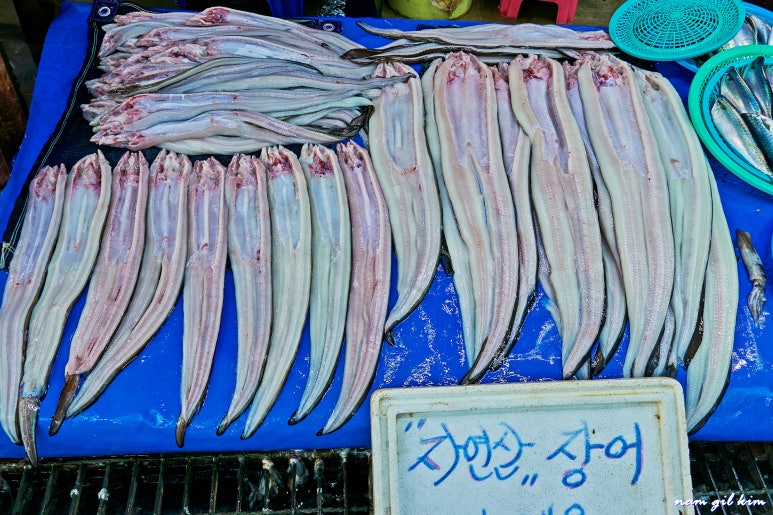 풍성수산 이미지