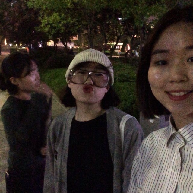 하울 이미지