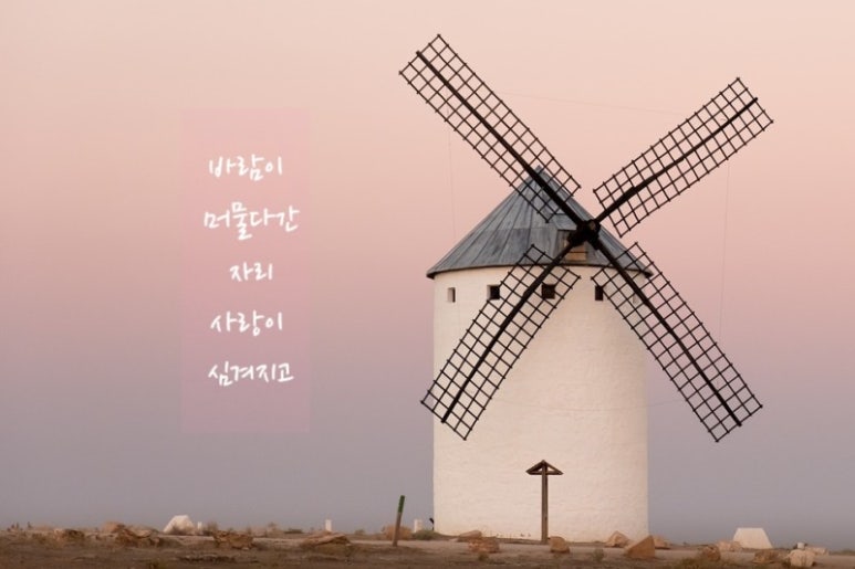 바람자리 이미지