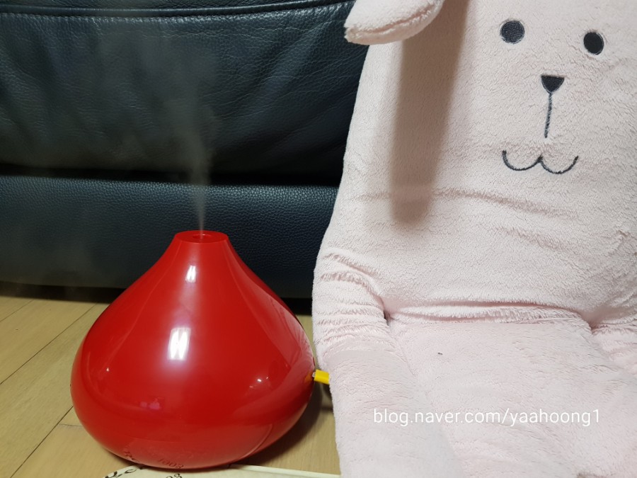 (주)키세스 이미지