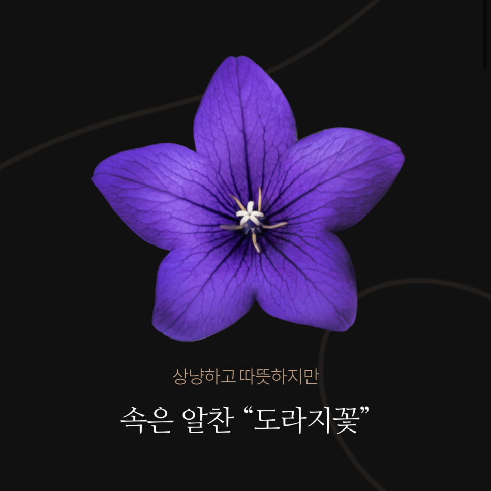 나이브커피 이미지
