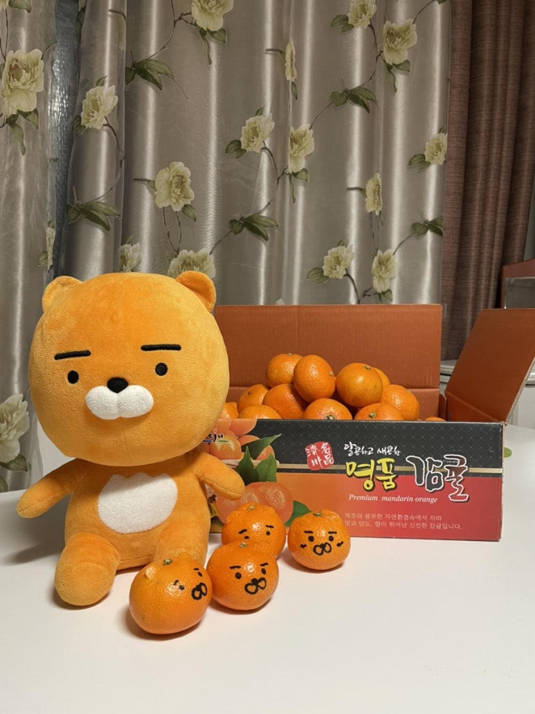 팡팡딜리버리 이미지