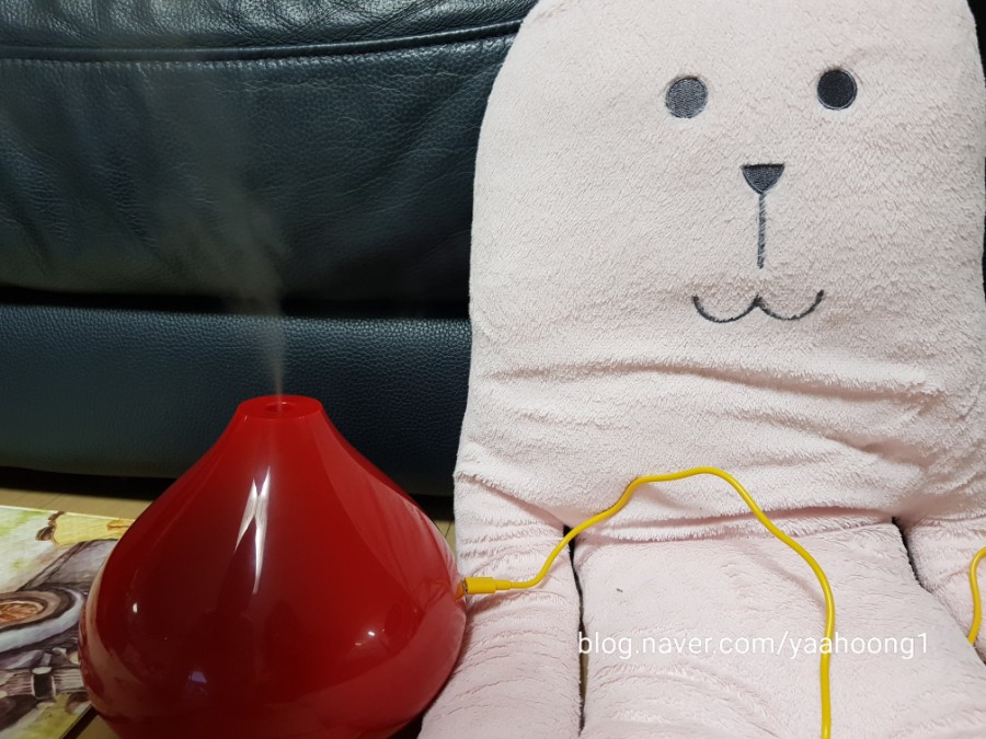 (주)키세스 이미지