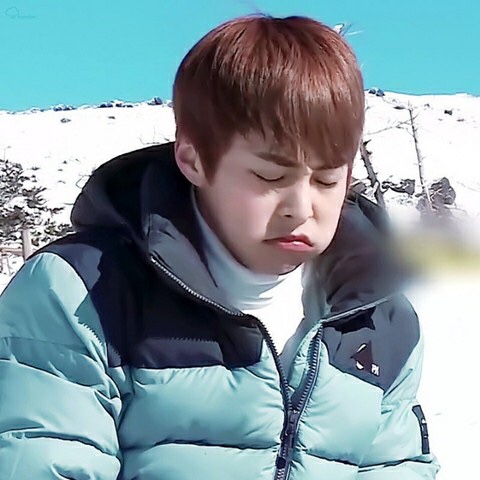 슈애 이미지