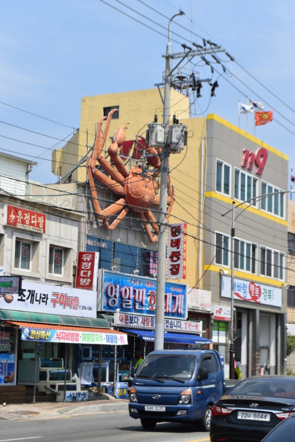 영일만회대게 이미지